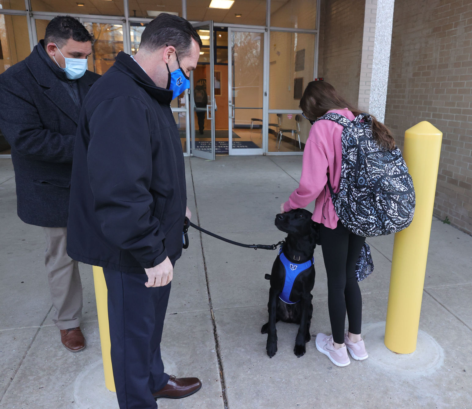 Wally Therapy Dog
